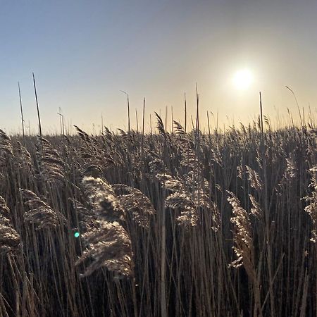 Ferienwohnung Sued Fehmarn Esterno foto