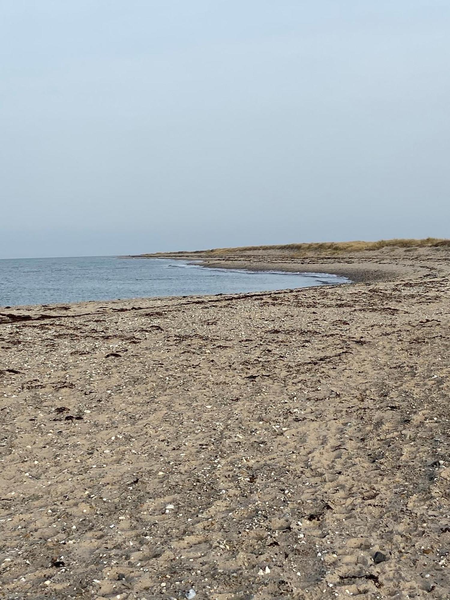 Ferienwohnung Sued Fehmarn Esterno foto